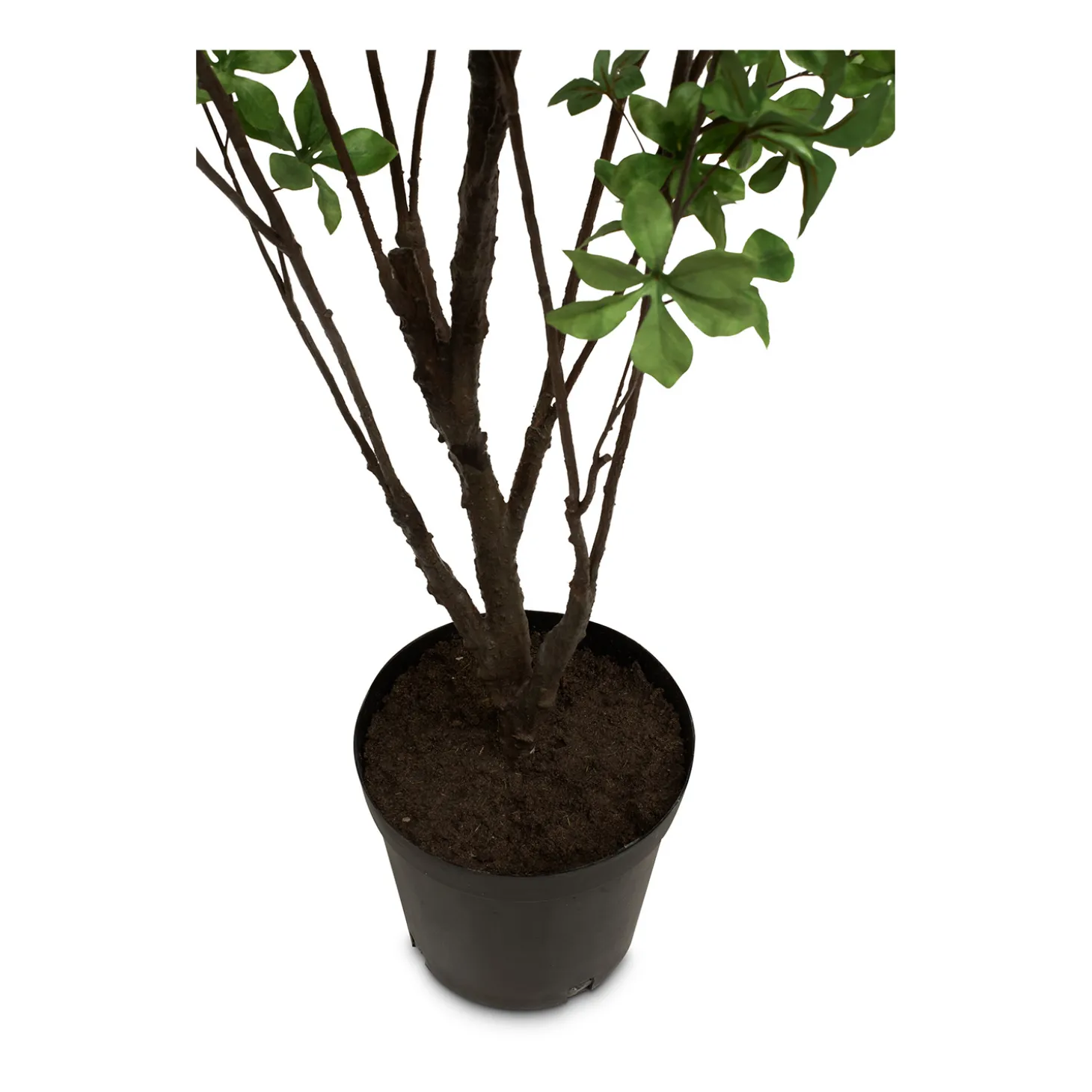 Fleur Ami Japanische Prachtglocke Kunstpflanze 175 cm