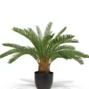 Fleur Ami Japanischer Sagopalmfarn - cycas revoluta Kunstpflanze, 64 cm