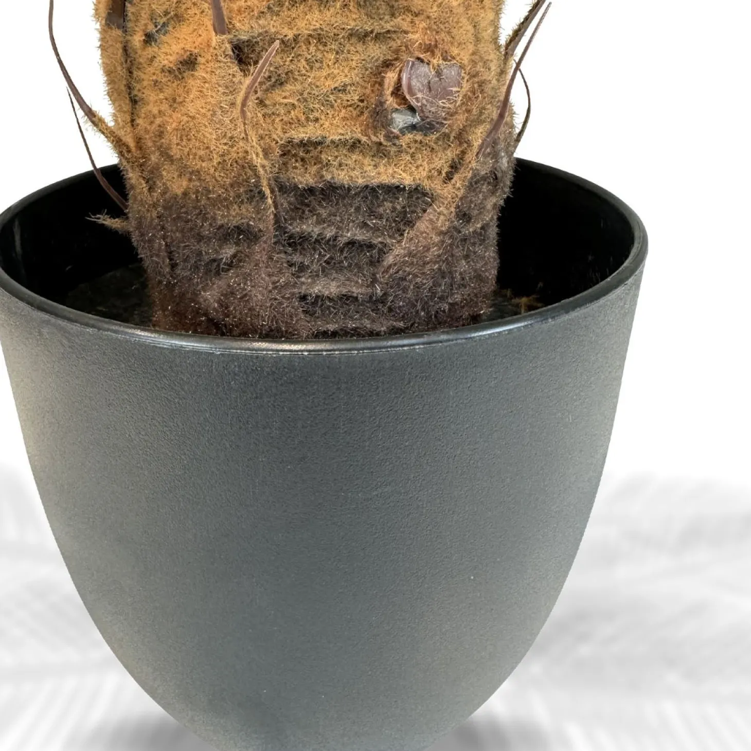 Fleur Ami Japanischer Sagopalmfarn - cycas revoluta Kunstpflanze, 64 cm