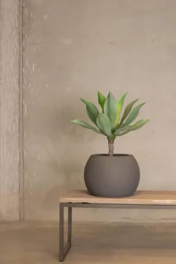 Fleur Ami Künstliche Aloe Vera Pflanze