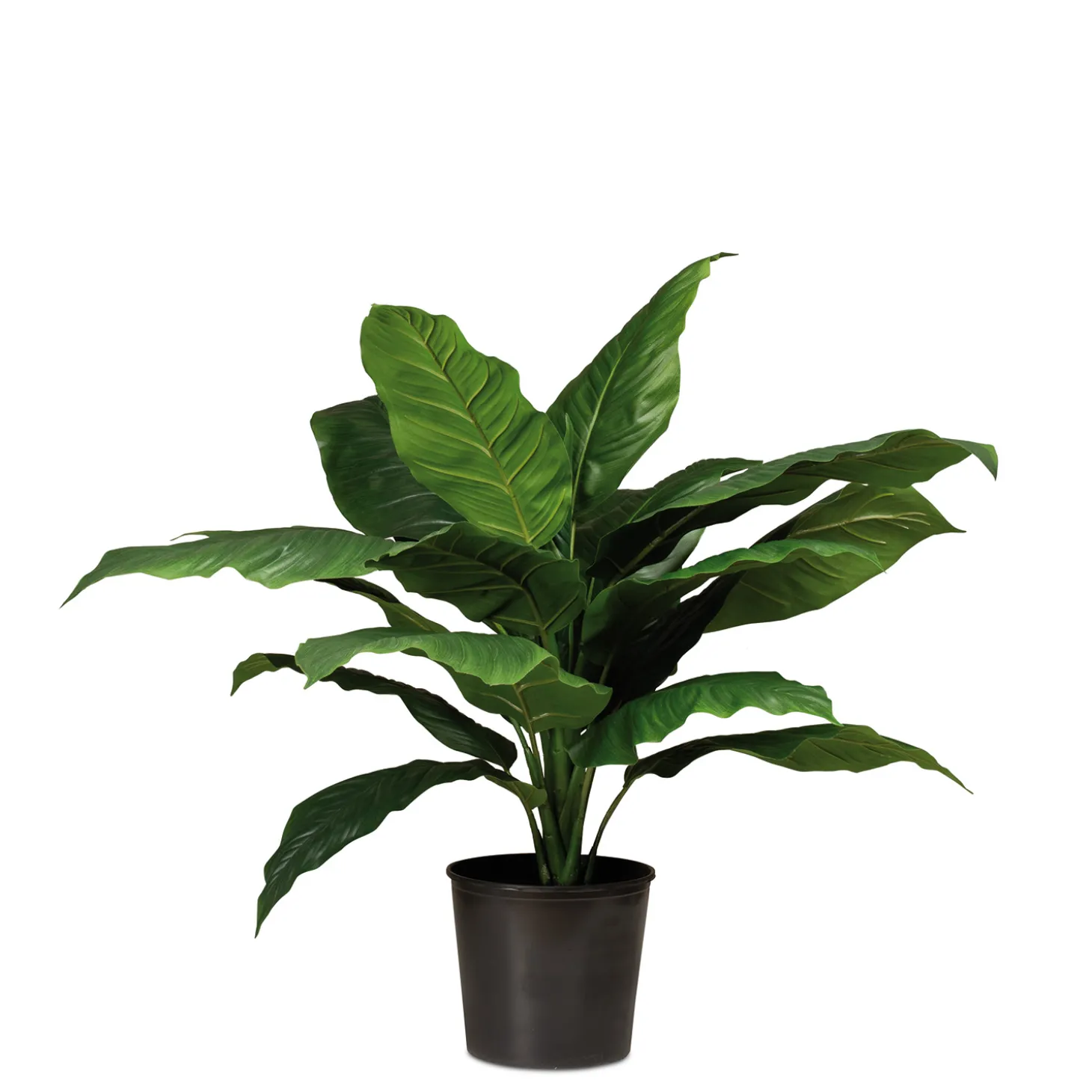 Fleur Ami Künstliche Einblatt - Spathiphyllum Pflanze