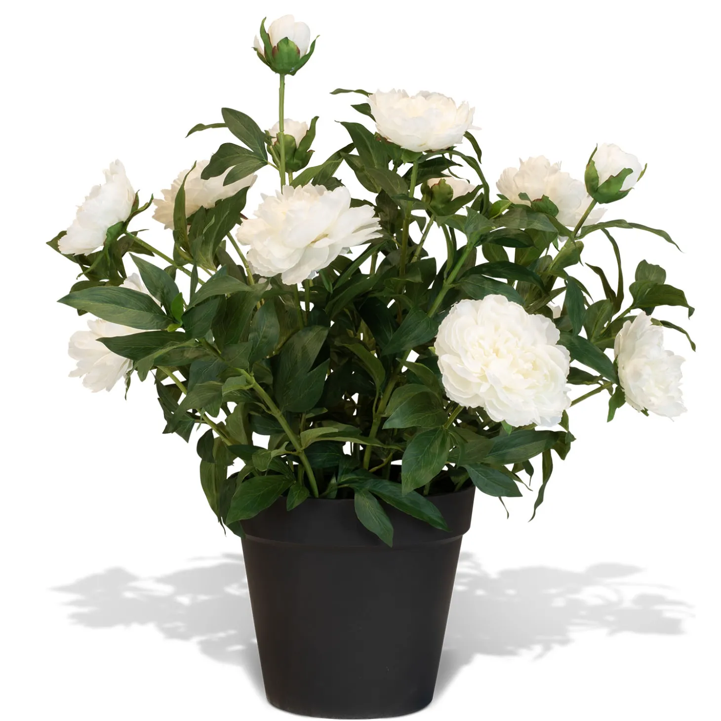 Fleur Ami Künstliche Paeonia - Pfingstrosen Höhe 76 cm weiß