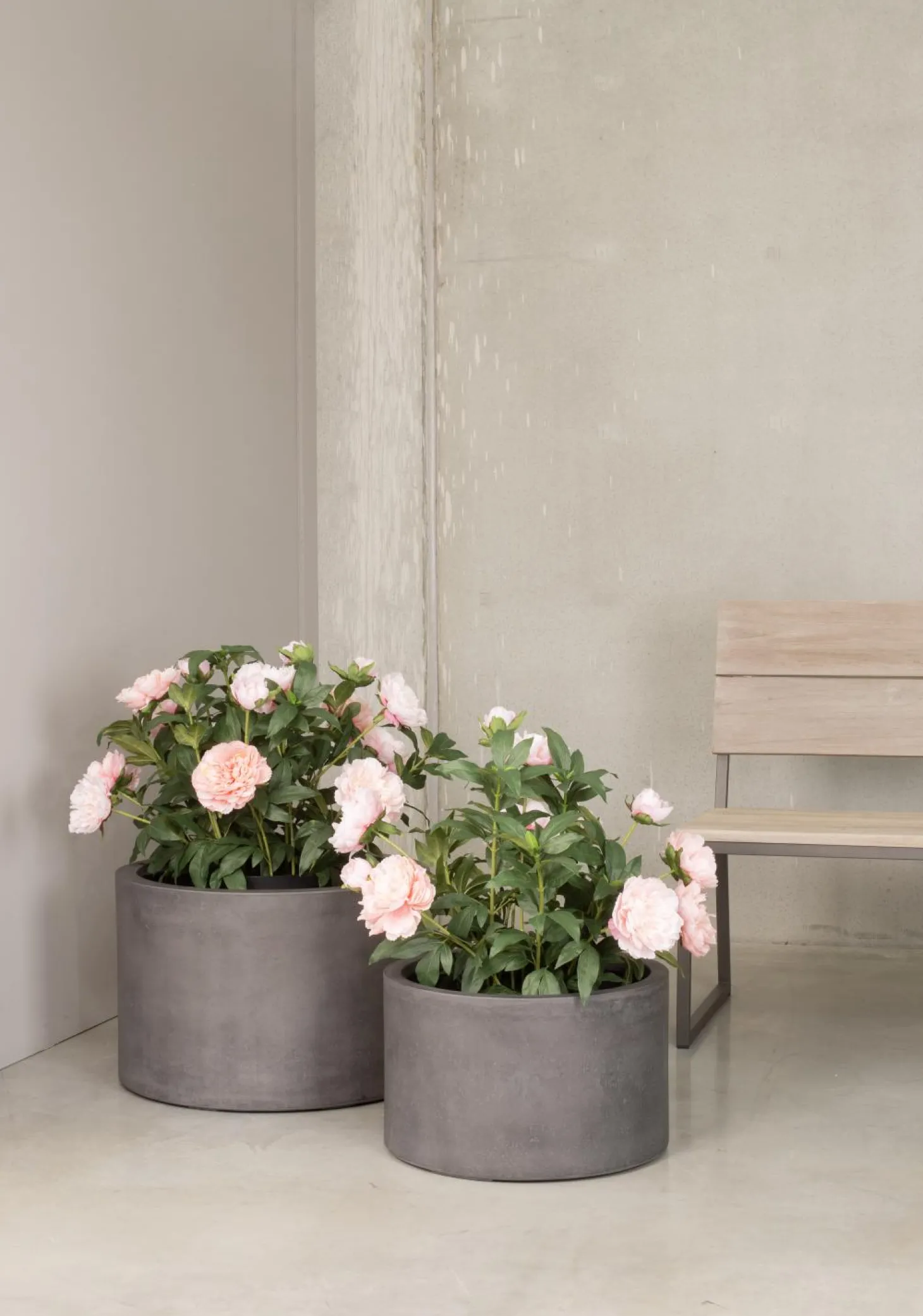 Fleur Ami Künstliche Paeonia - Pfingstrosen Höhe 76 cm weiß