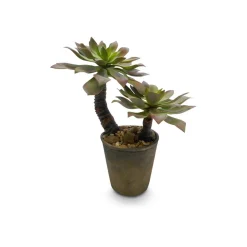 Fleur Ami Künstliche Sukkulente auf Stamm