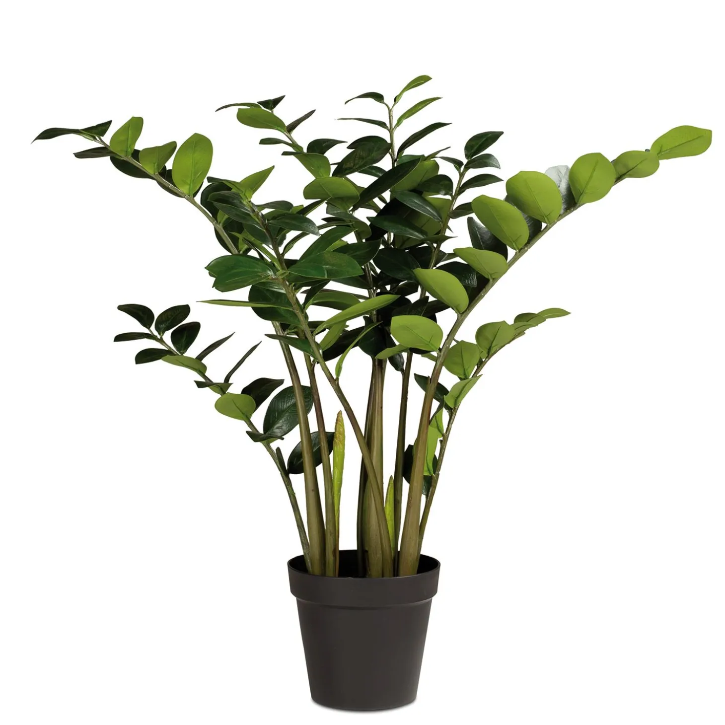Fleur Ami Künstliche Zamioculcas - Glücksfeder Pflanze 120 cm