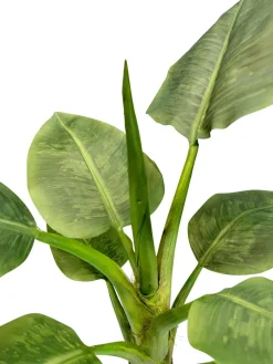 Fleur Ami Künstlicher Bananenbaum