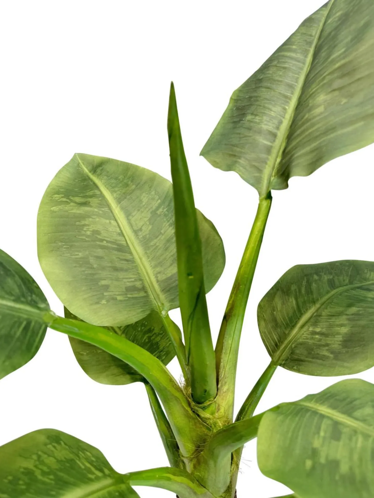 Fleur Ami Künstlicher Bananenbaum