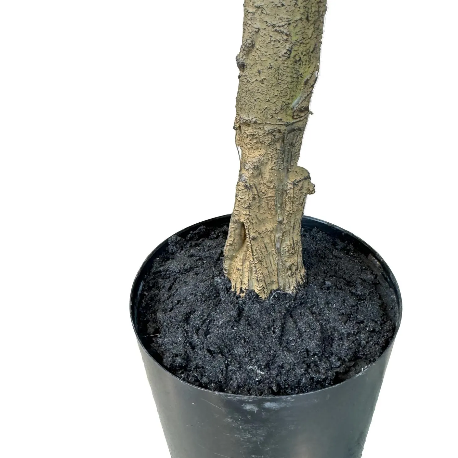 Fleur Ami Künstlicher Geigenfeigenbaum - Ficus Lyrata 120 cm