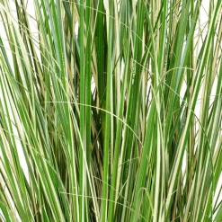 Fleur Ami Künstliches Chinaschilf Variegatus