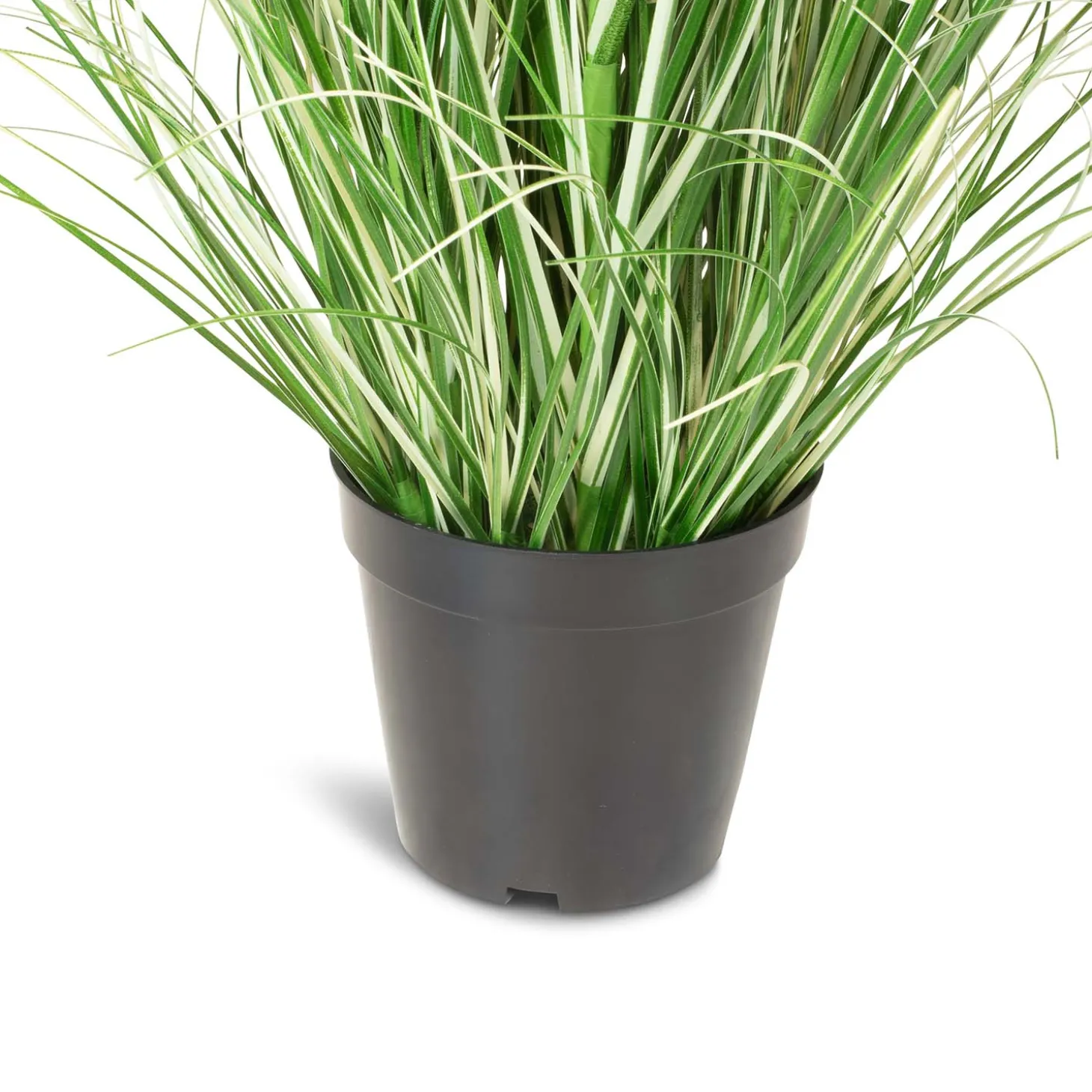 Fleur Ami Künstliches Chinaschilf Variegatus