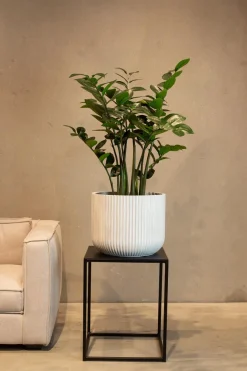 Fleur Ami Linea Betontopf mit geriffelter Oberfläche Ø 37 cm, Höhe 30 cm anthrazit