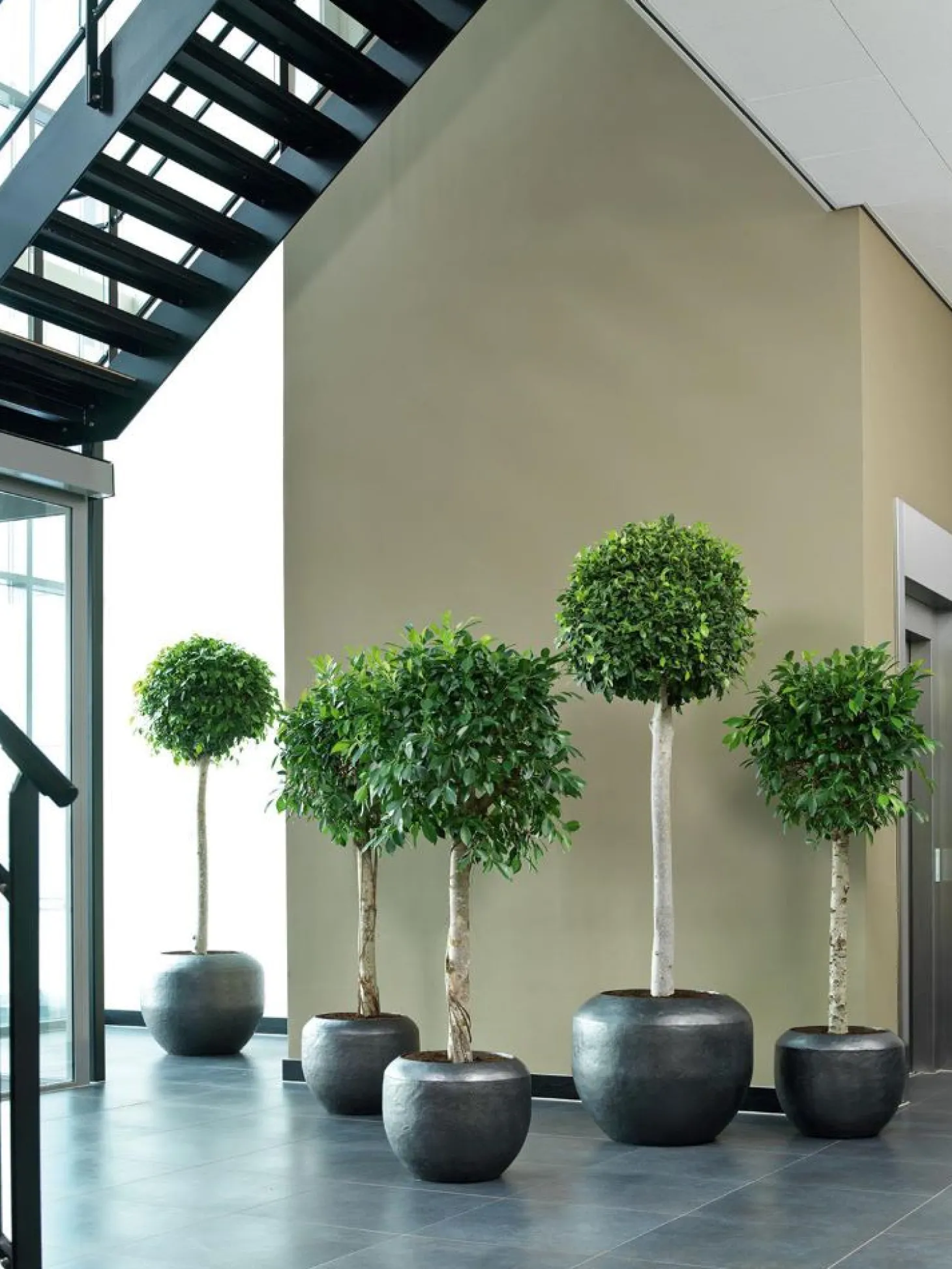 Fleur Ami Loft Bodengefäß für hochgewachsene Pflanzen Ø 30 cm, Höhe 80 cm black iron