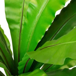 Fleur Ami Nestfarn Asplenium nidus Kunstpflanze, 85 cm