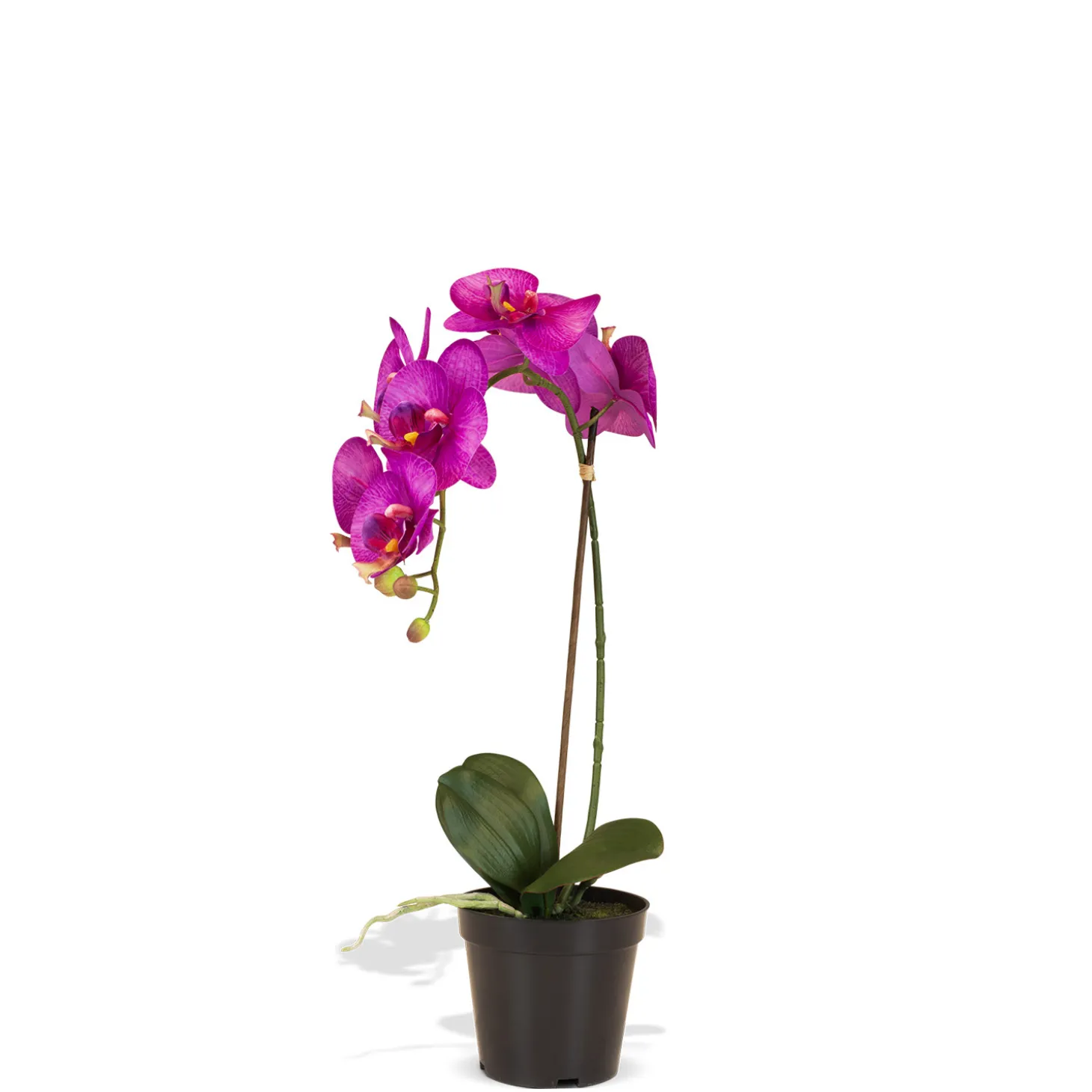 Fleur Ami Orchidee Kunstpflanze, Höhe 55 cm, pink