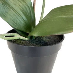 Fleur Ami Orchidee Kunstpflanze, Höhe 55 cm, pink