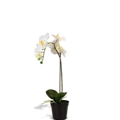 Fleur Ami Orchidee Kunstpflanze, Höhe 55 cm, weiß