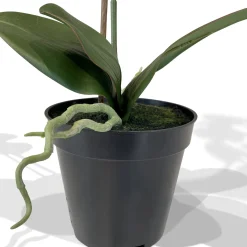 Fleur Ami Orchidee Kunstpflanze, Höhe 55 cm, weiß