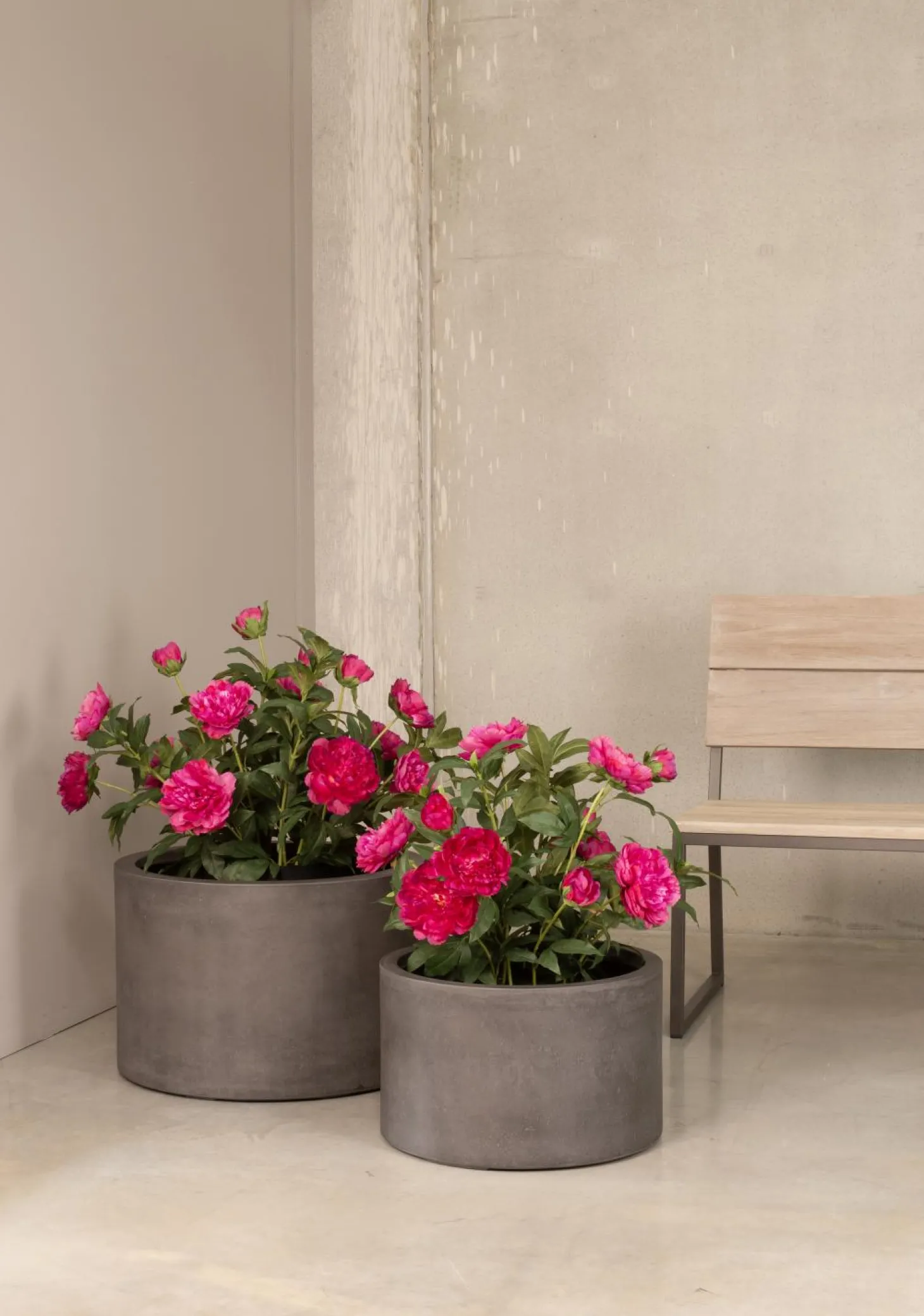 Fleur Ami Pfingstrosen - Paeonia Kunstpflanze pink