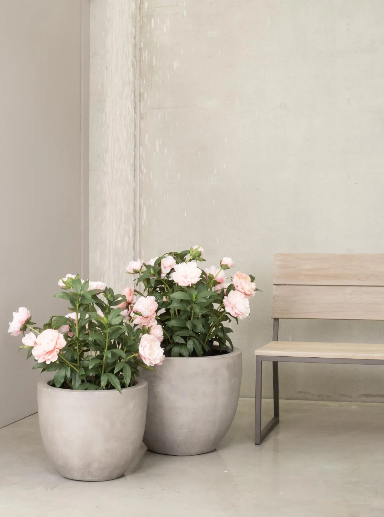 Fleur Ami Pfingstrosen - Paeonia Kunstpflanze pink