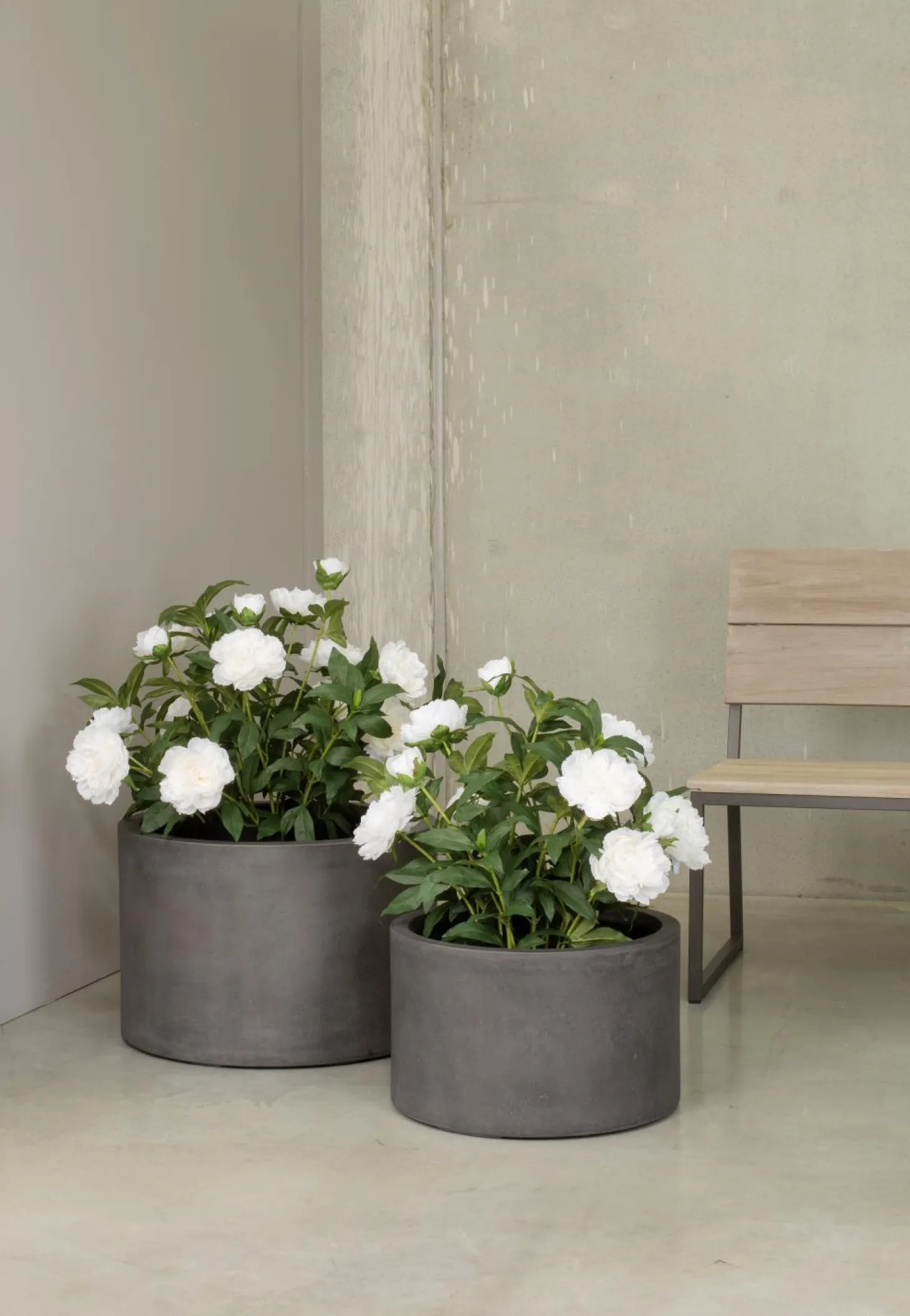 Fleur Ami Pfingstrosen - Paeonia Kunstpflanze pink