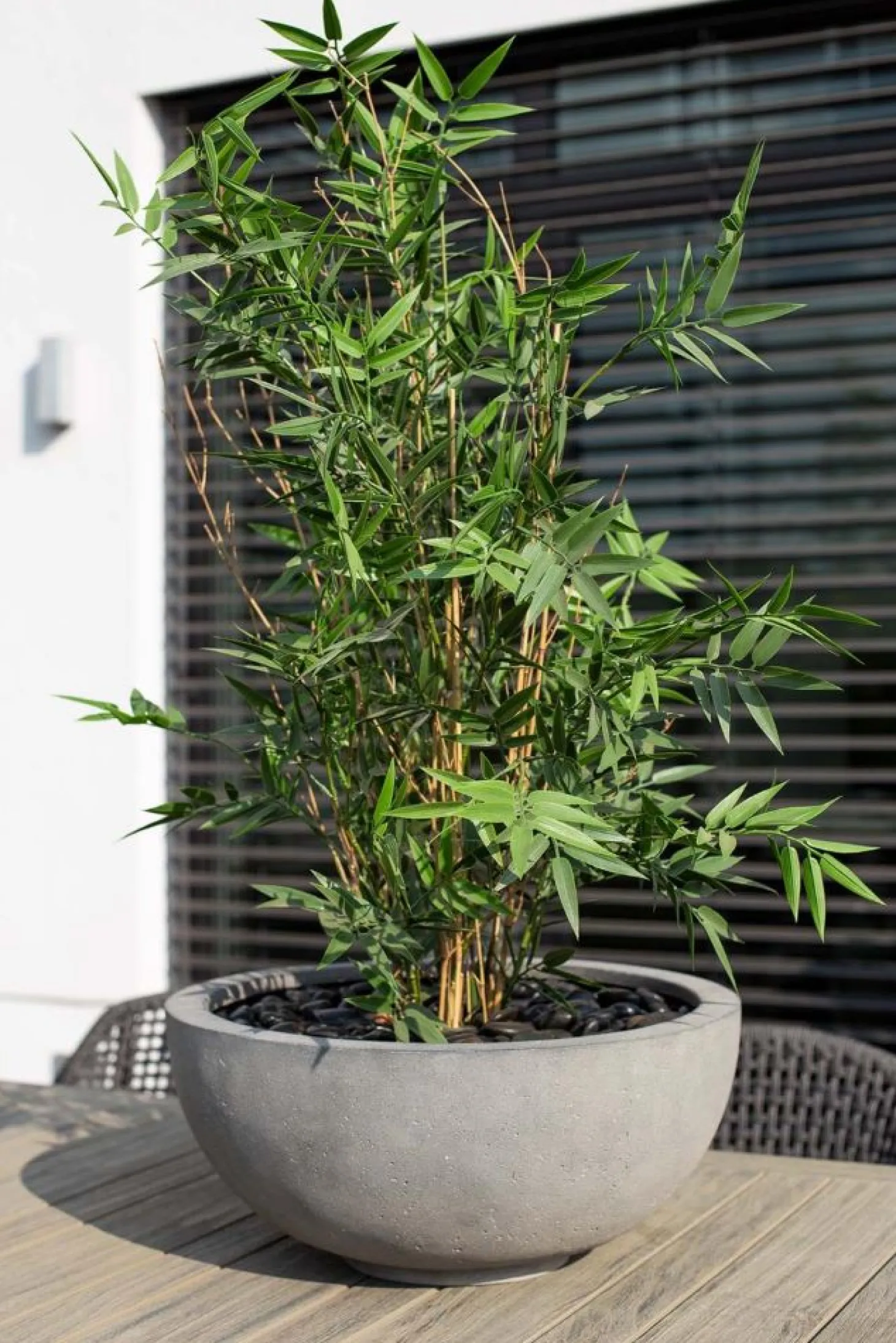 Fleur Ami Polystone Ego Plus runde Pflanzschale Ø 40 cm, Höhe 18 cm grau