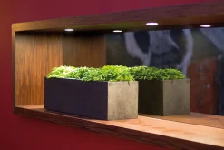 Fleur Ami Polystone Flowerbox Tischgefäß - Blockform crème