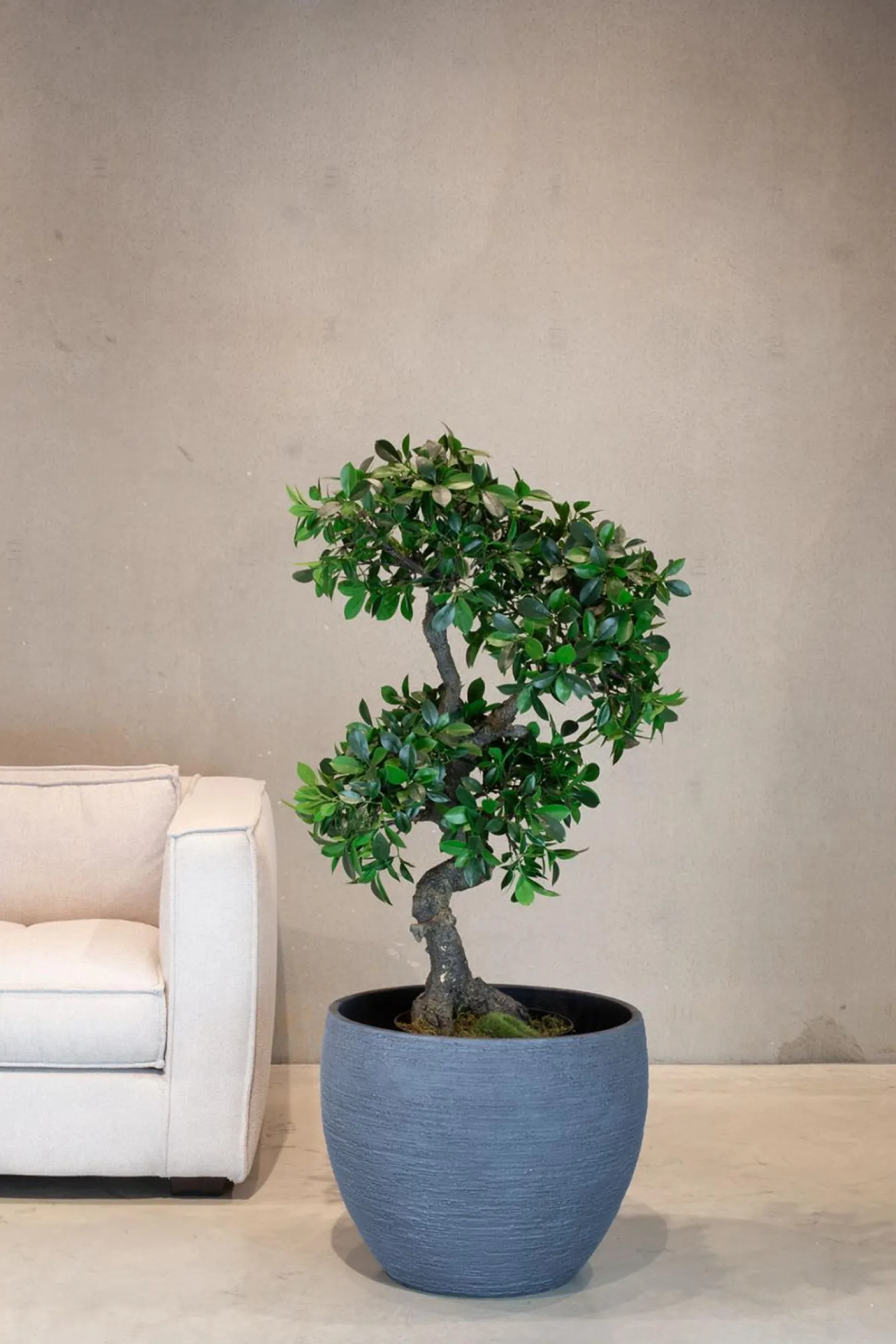 Fleur Ami Pottery runder Blumentopf wellenartige Struktur Ø 35 cm, Höhe 30 cm grau