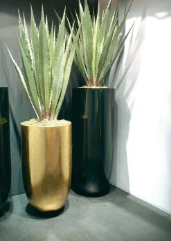 Fleur Ami Premium Pandora Pflanzgefäß Ø 35 cm, Höhe 125 cm weiß