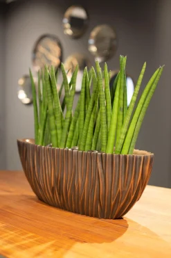 Fleur Ami River bootförmiges Tischgefäß schwarz