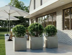 Fleur Ami Roccastone würfelförmiger Betonpflanzkübel 40 x 44 cm anthrazit