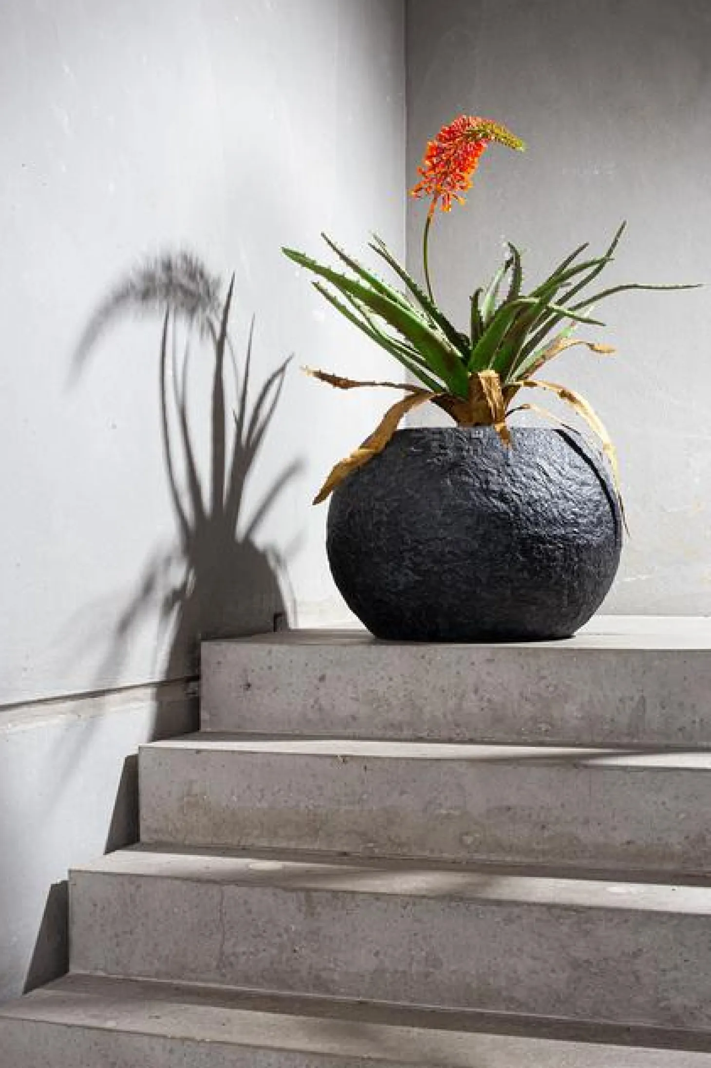 Fleur Ami Rocky Gobe Pflanzkugel mit Metallpigmenten Ø 60 cm, Höhe 43 cm black granite