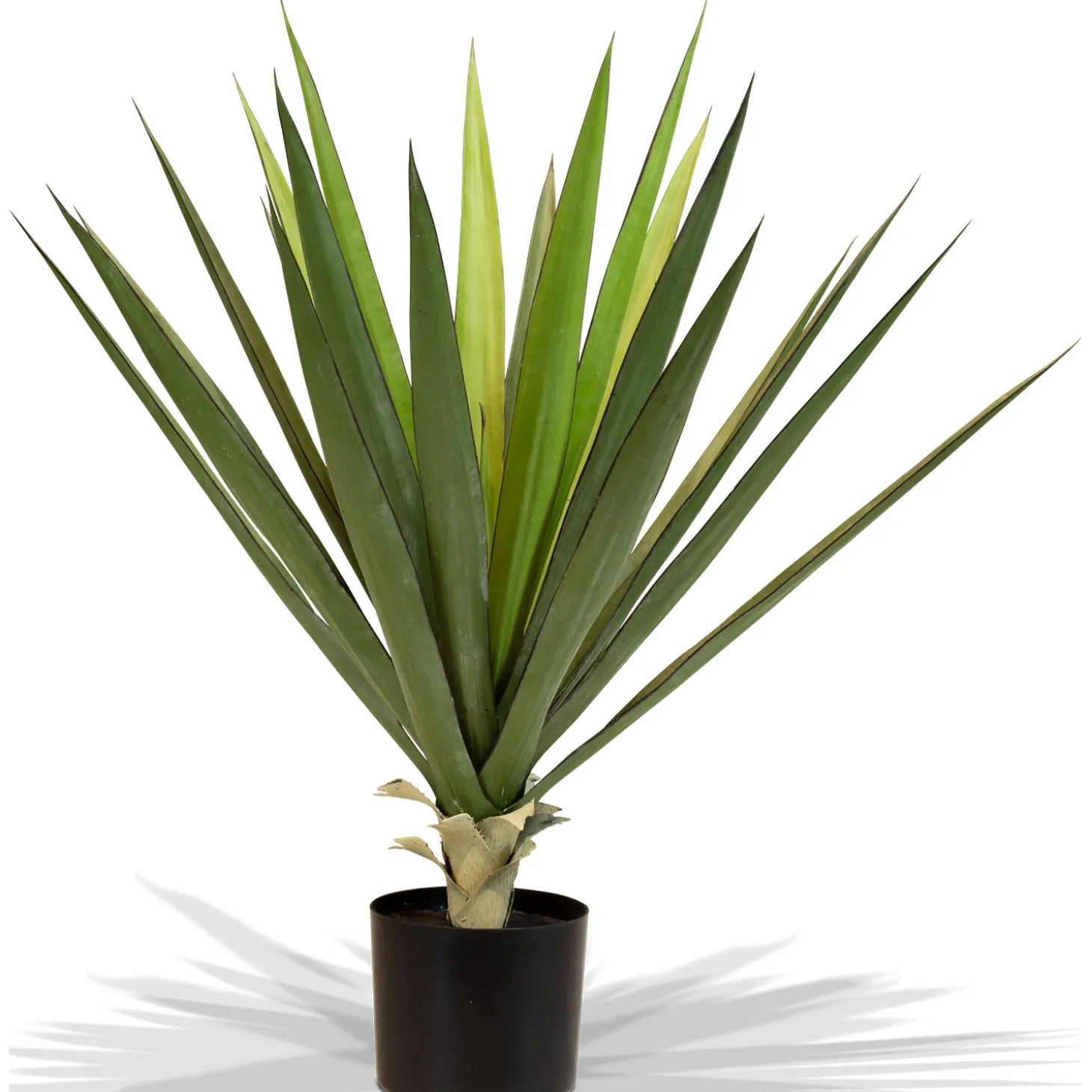 Fleur Ami Sisal - Agave sisalana Kunstpflanze, 75cm