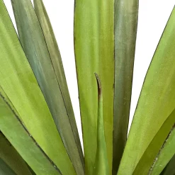 Fleur Ami Sisal - Agave sisalana Kunstpflanze, 75cm