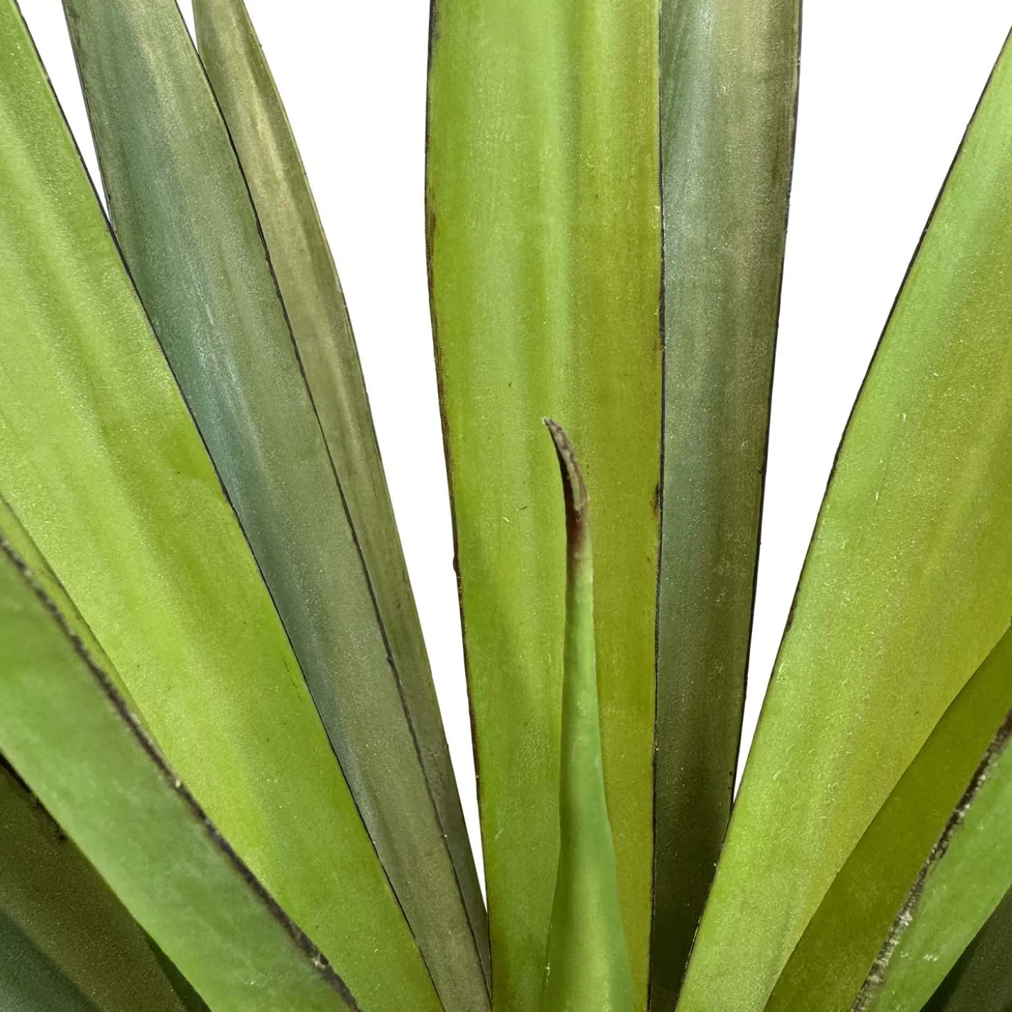 Fleur Ami Sisal - Agave sisalana Kunstpflanze, 75cm