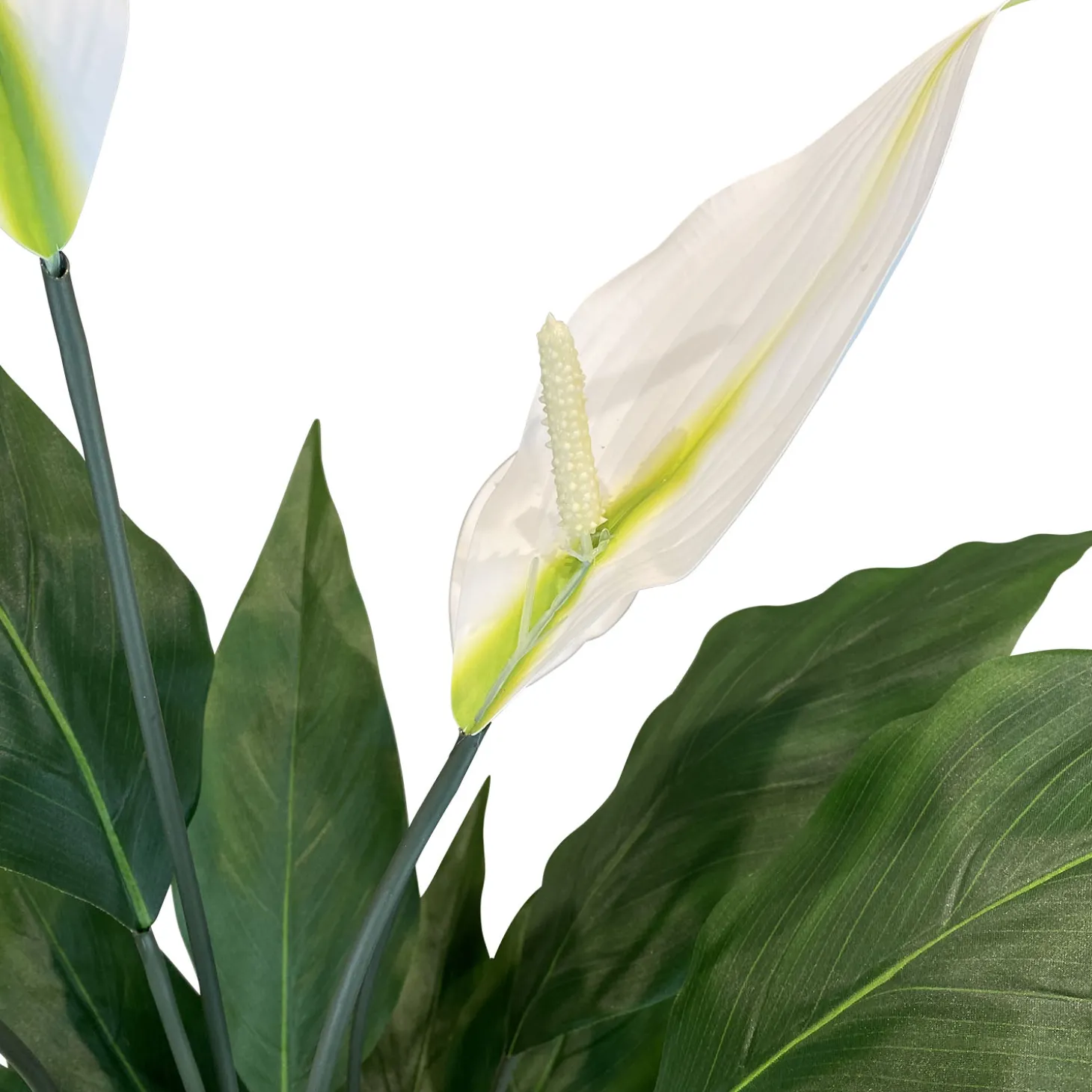Fleur Ami Spathiphyllum - Einblatt Kunstpflanze, UV Stabil, Höhe 90 cm