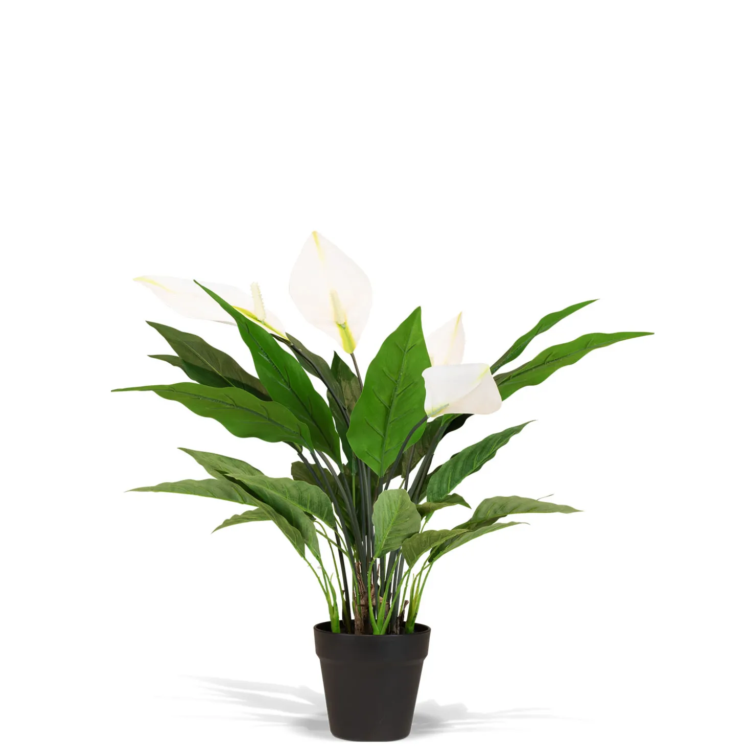 Fleur Ami Spathiphyllum - Einblatt Kunstpflanze, UV Stabil