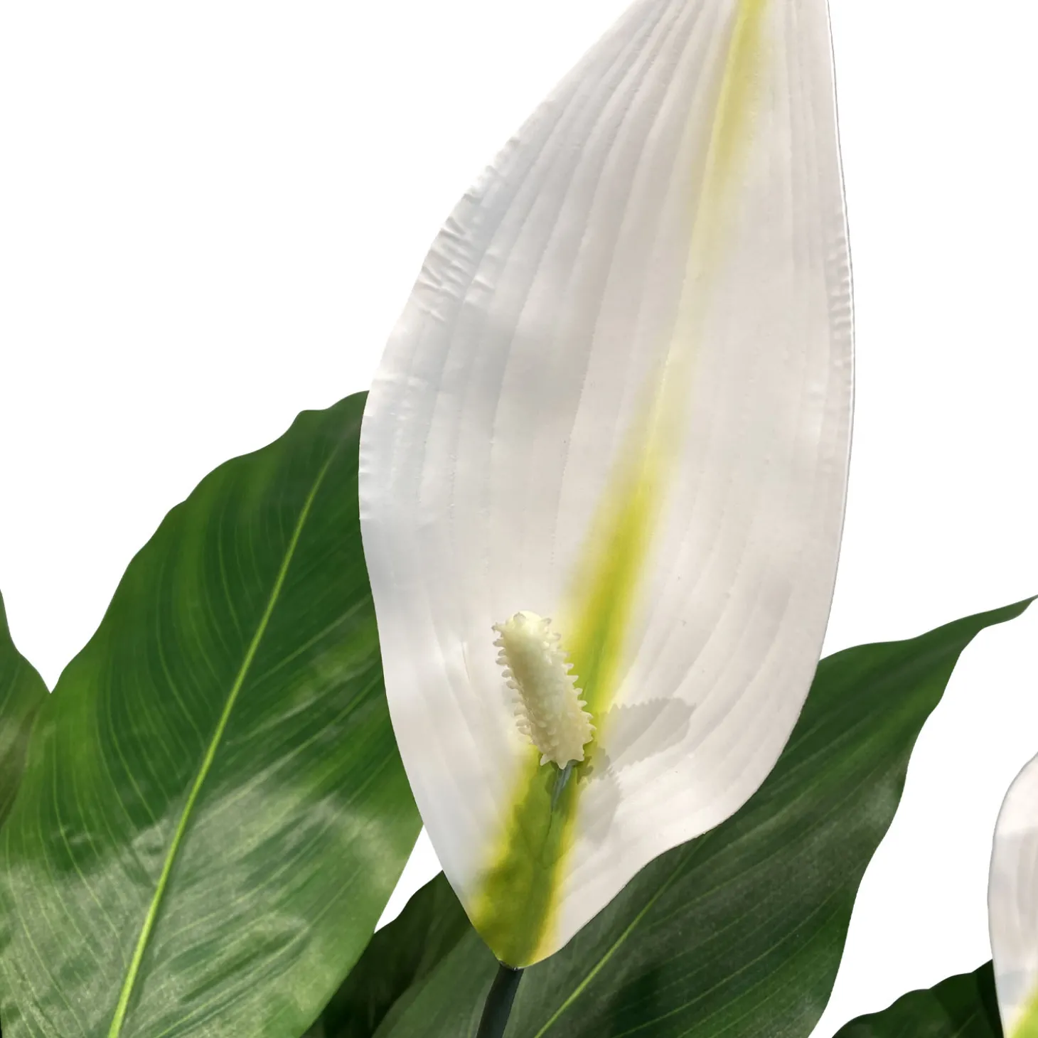 Fleur Ami Spathiphyllum - Einblatt Kunstpflanze, UV Stabil