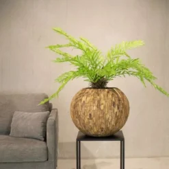 Fleur Ami Woody Pflanzgefäß in Cemani-Holz Ø 70 cm, Höhe 56 cm