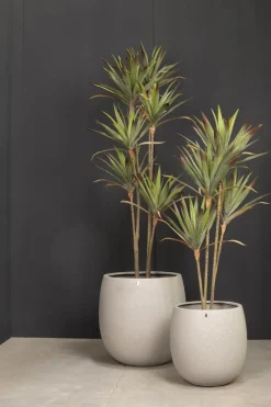 Fleur Ami Yucca - Palmlilie Kunstpflanze, Höhe 70 cm