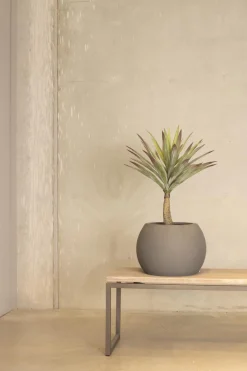 Fleur Ami Yucca - Palmlilie Kunstpflanze, Höhe 70 cm