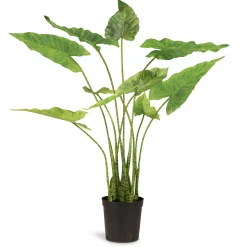 Fleur Ami Zebra-Elefantenohr - Alocasia Zebrina Kunstpflanze 61 cm