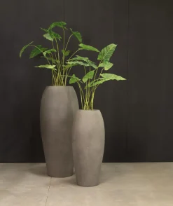 Fleur Ami Zebra-Elefantenohr - Alocasia Zebrina Kunstpflanze 61 cm