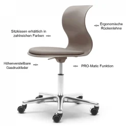 Flötotto Bürostuhl und Praxisstuhl Pro 6 - unsere Topseller granitgrau/Aluminium mit PRO-Matic ohne Armlehne ohne Sitzkissen