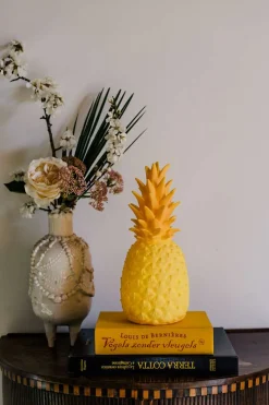 GOODNIGHT-light® Dekoleuchte Ananas 