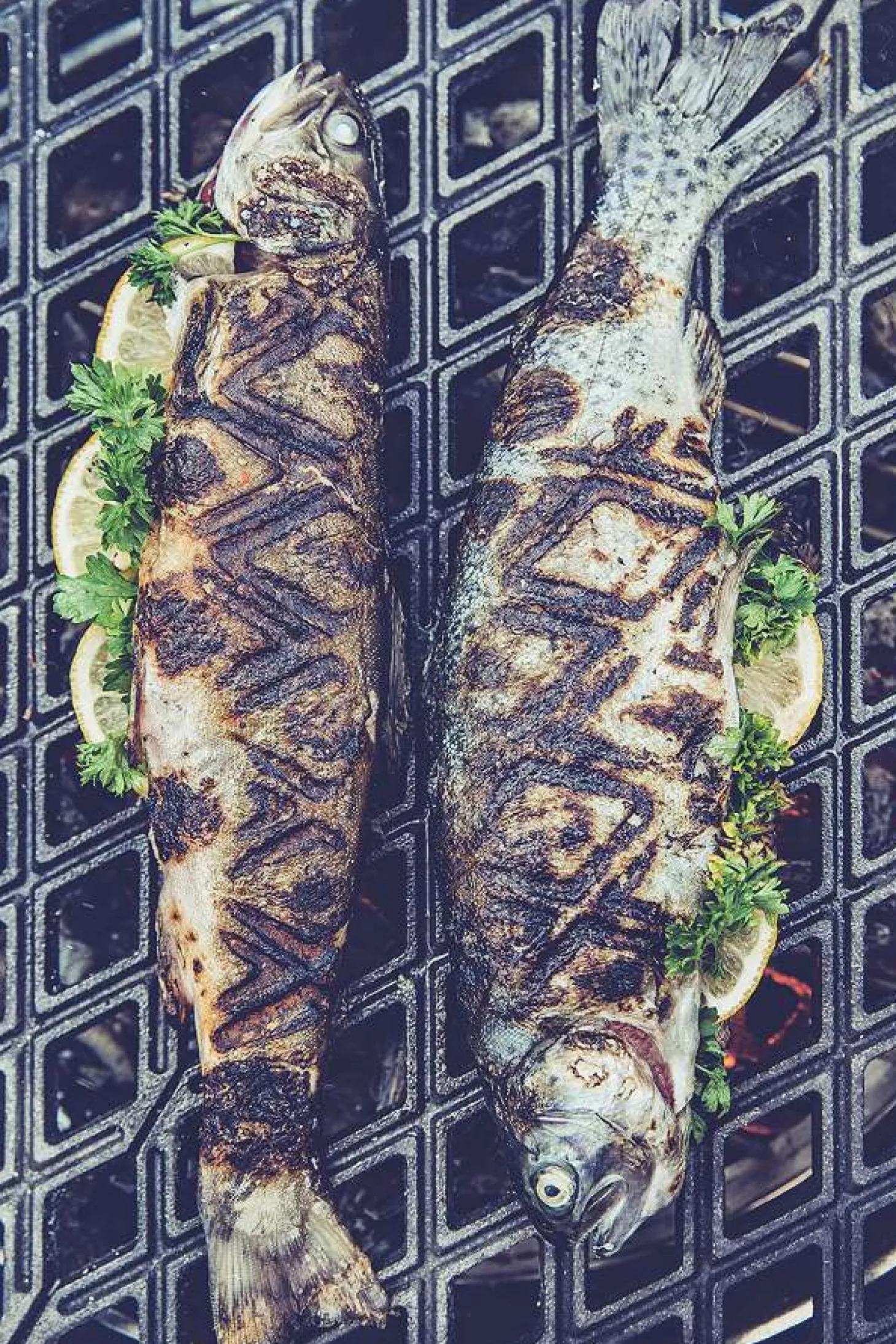 höfats Gussrost "Healthgrid" für CONE Kohlegrill