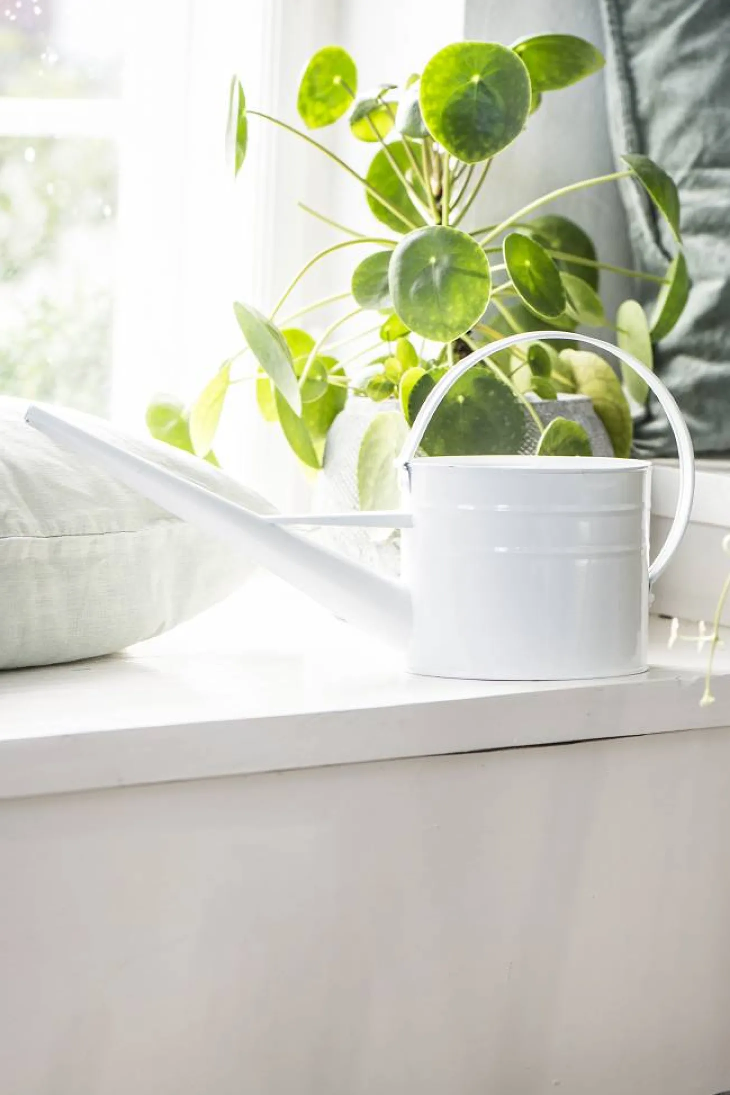 IB laursen Gießkanne 1,4 L weiß