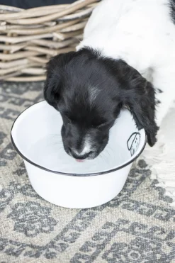 IB laursen Hundenapf Höhe 8 cm, Ø 17 cm