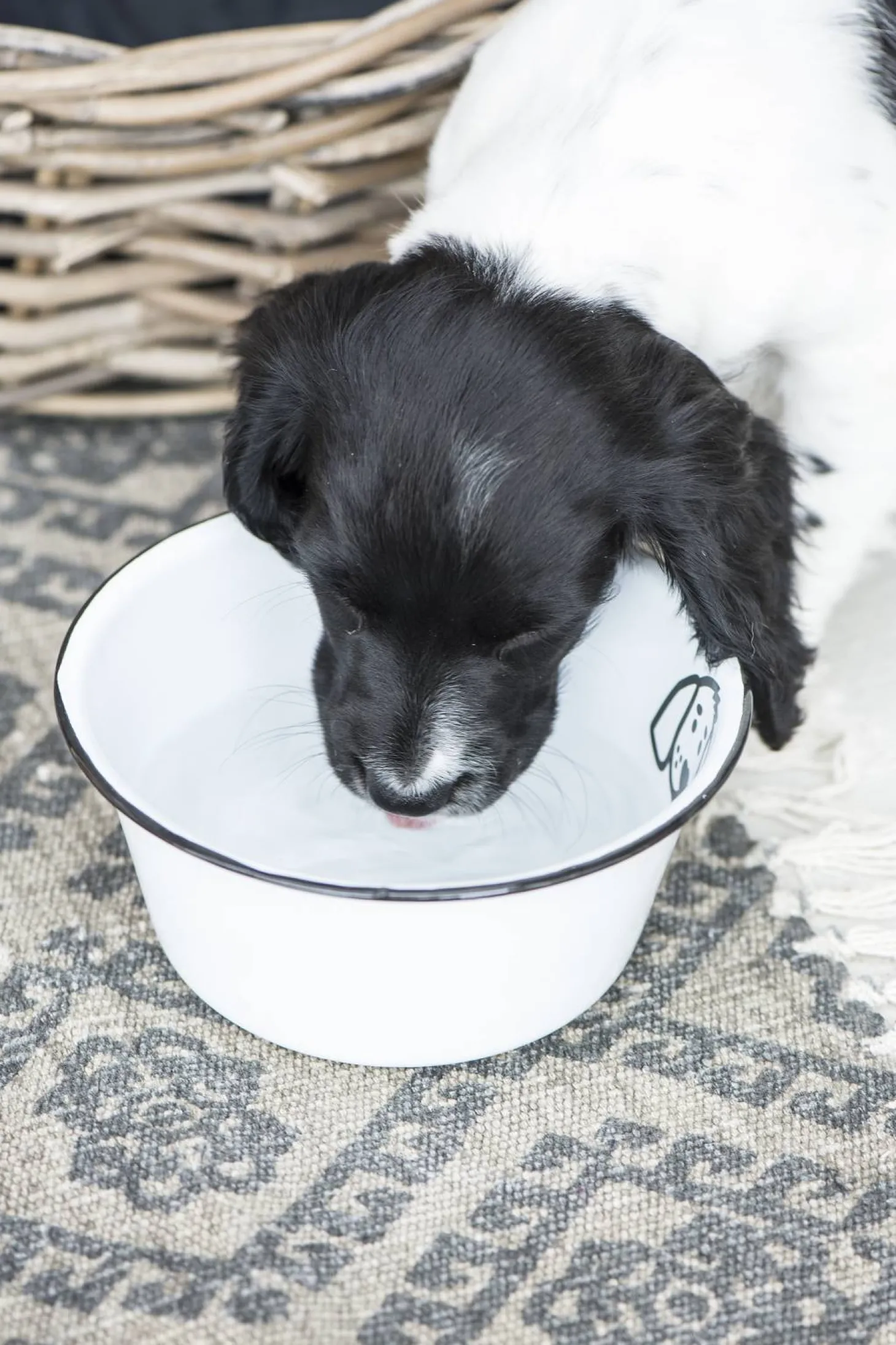 IB laursen Hundenapf Höhe 8 cm, Ø 17 cm