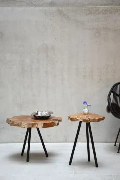 Jan Kurtz Beistelltisch Riff Hoch Gestell Schwarz Platte Ø60 Teakwurzel natur