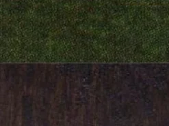 Jan Kurtz ELLA - Stuhl moosgrün buche wengefarben gebeizt